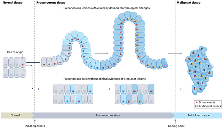 四川大学科技成果 四川大学科技成果